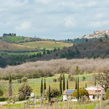 Artemisia Negli Ulivi Bed & Breakfast 3*