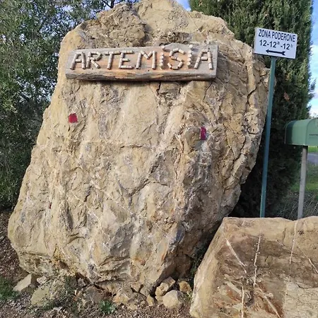 Artemisia Negli Ulivi Nocleg ze śniadaniem Magliano in Toscana