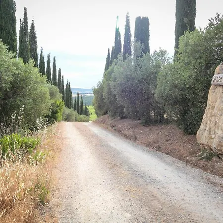 Bed & Breakfast Artemisia Negli Ulivi 3*