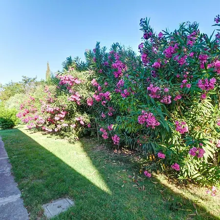 Bed & Breakfast Artemisia Negli Ulivi