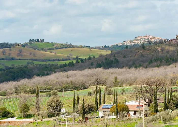 Artemisia Negli Ulivi Bed & Breakfast 3*