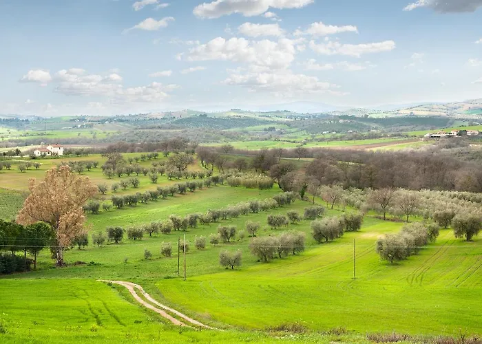 Bed & Breakfast Artemisia Negli Ulivi 3*