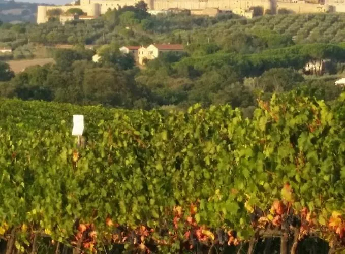 Bed & Breakfast Artemisia Negli Ulivi 3*