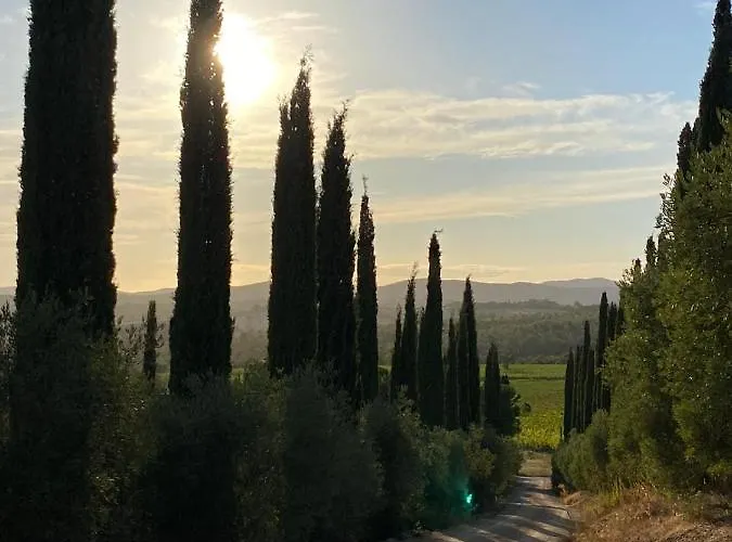 Artemisia Negli Ulivi Bed & Breakfast