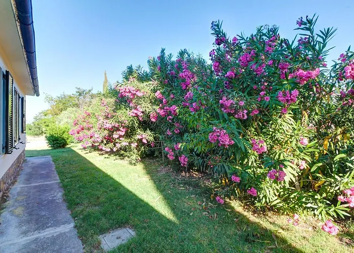 Bed & Breakfast Artemisia Negli Ulivi